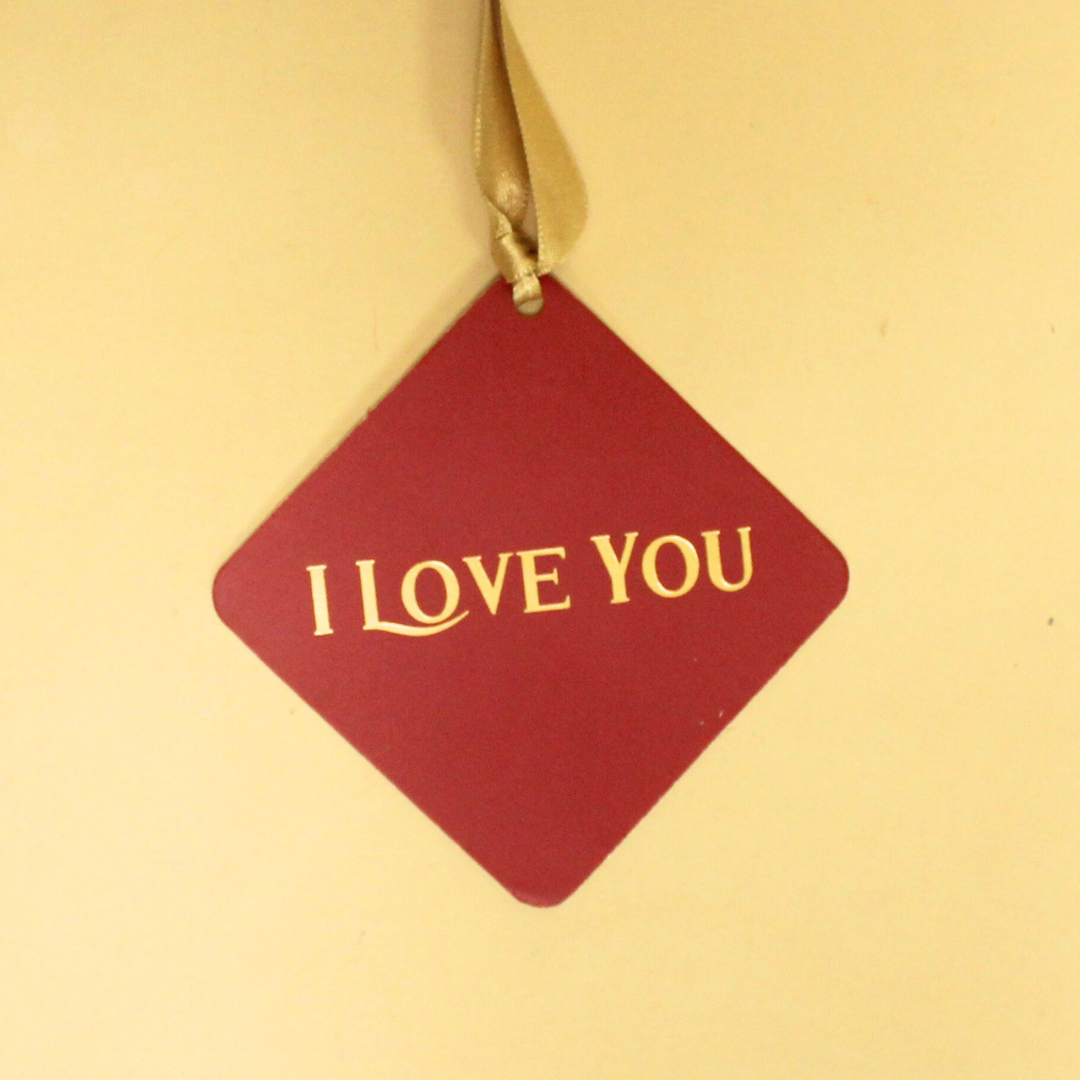 I Love You Tags (3x3 Inches)