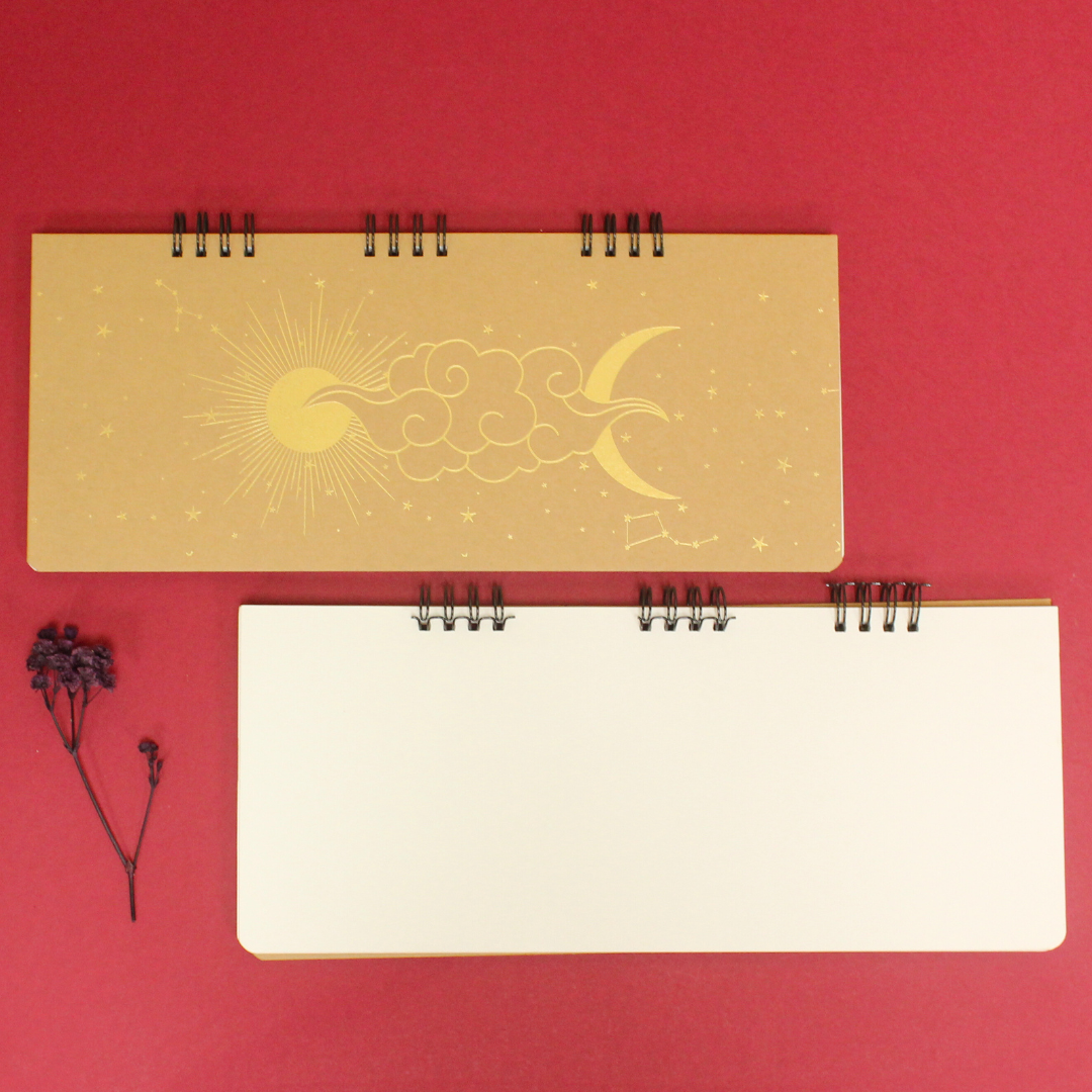 Diary (11X4.5 Inches)