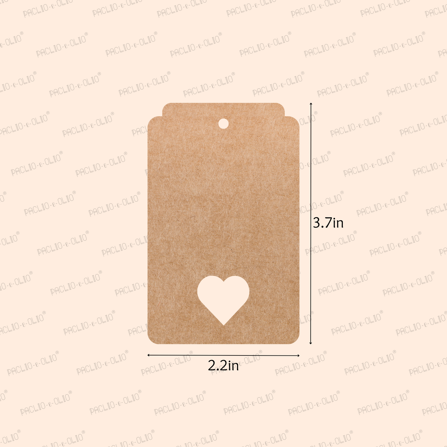 Assorted Paper Gift Tags | 3.7x2.2 Inches | Pack Of 100 Pieces