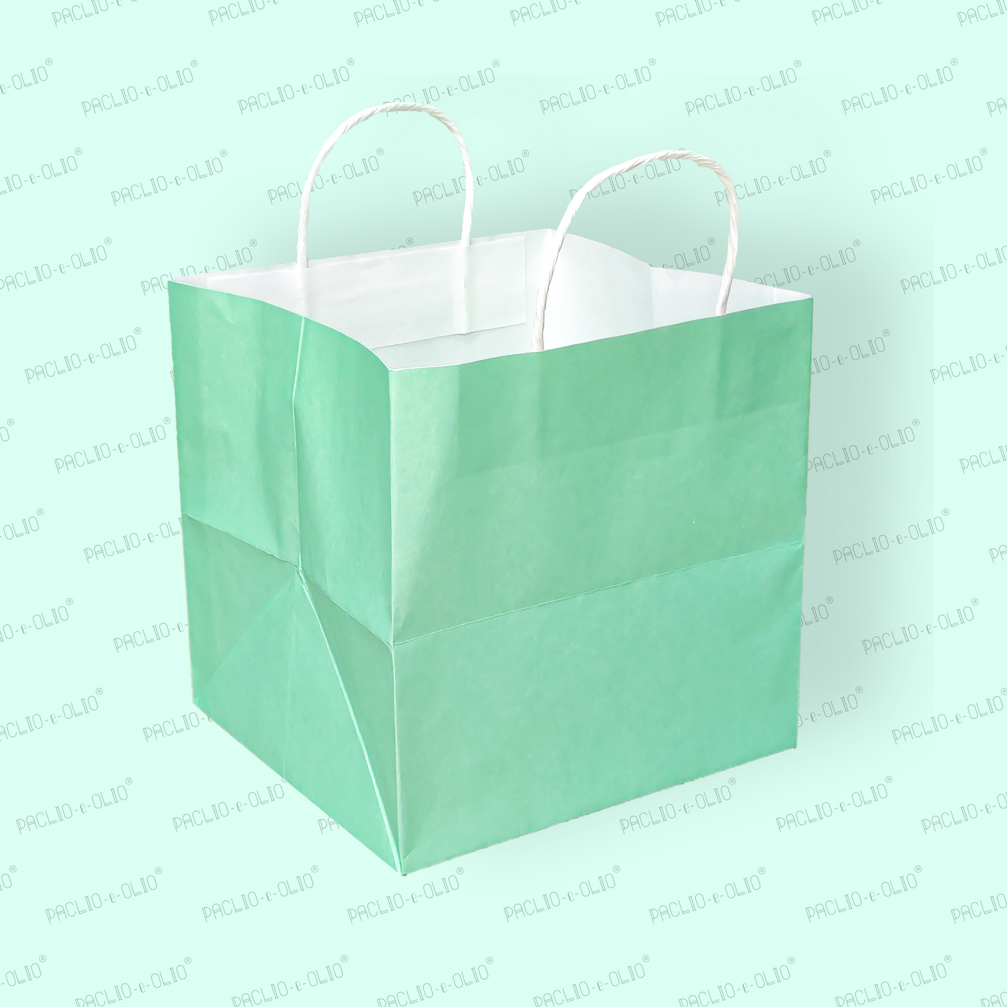 PAPER BAGS (9x9x8.5 INCHES)