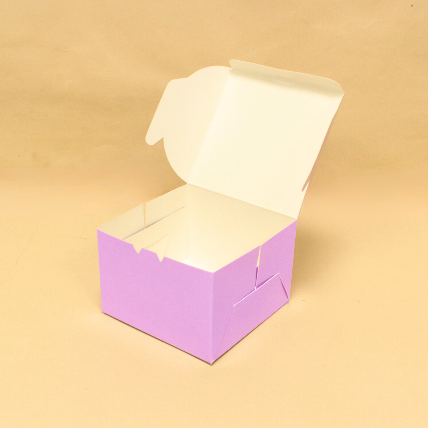 2 Pastry Box (5x5x3.5 Inches)