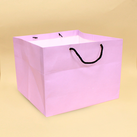 Cake Bags | 12x11.5x9.5 Inches