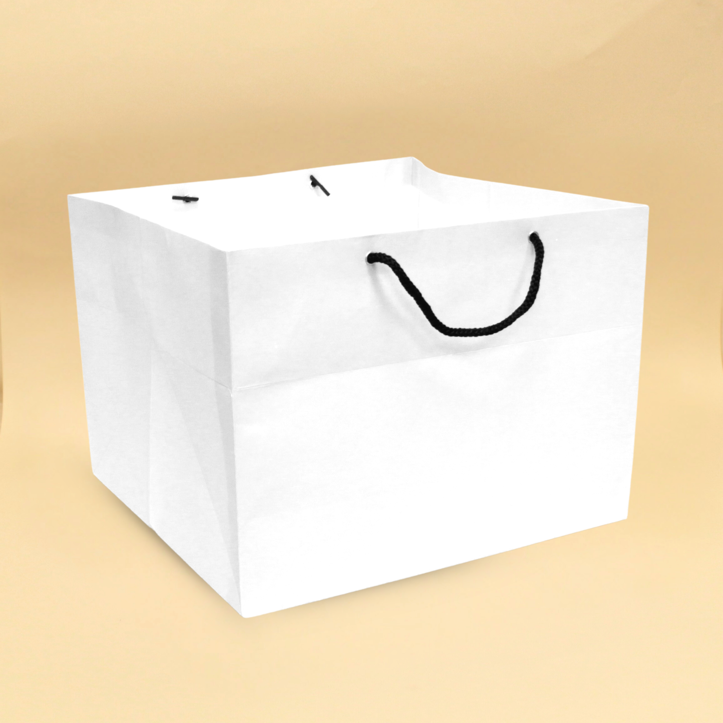 Cake Bags | 12x11.5x9.5 Inches