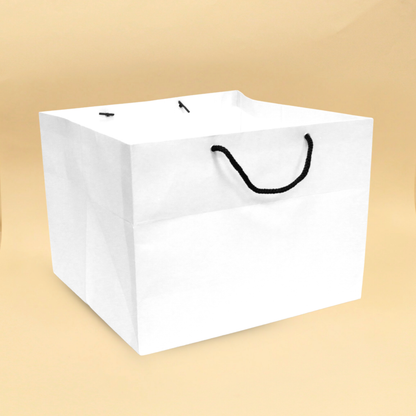 Cake Bags | 12x11.5x9.5 Inches