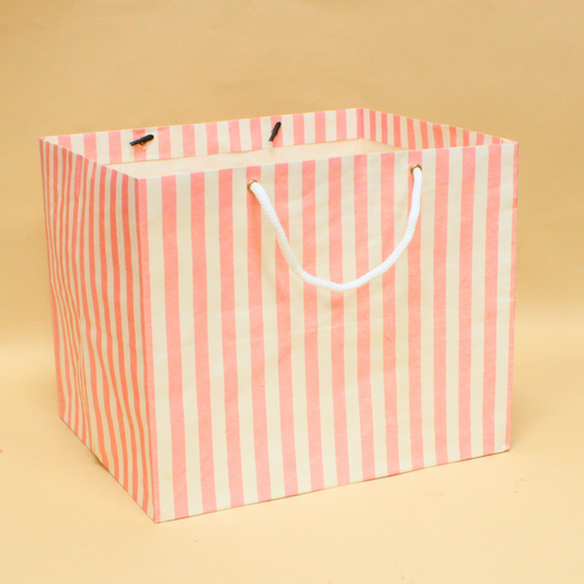 Stripes Printed Paper Bag | 11x9x9 Inches