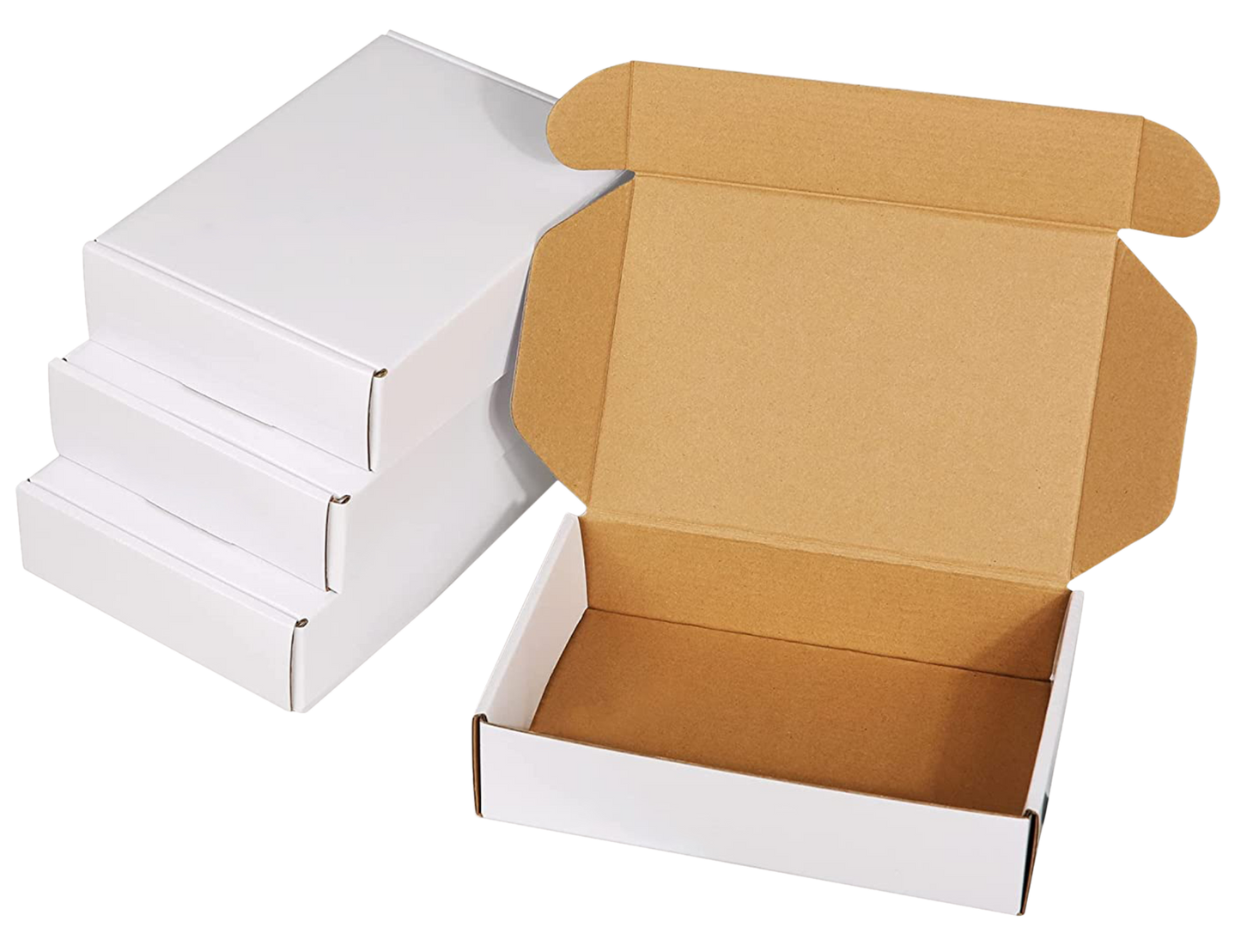 Mailer Boxes (10x8x3 Inches)